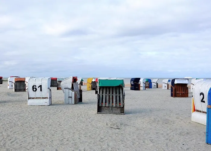 48 3 M Seestern * 쉴리그